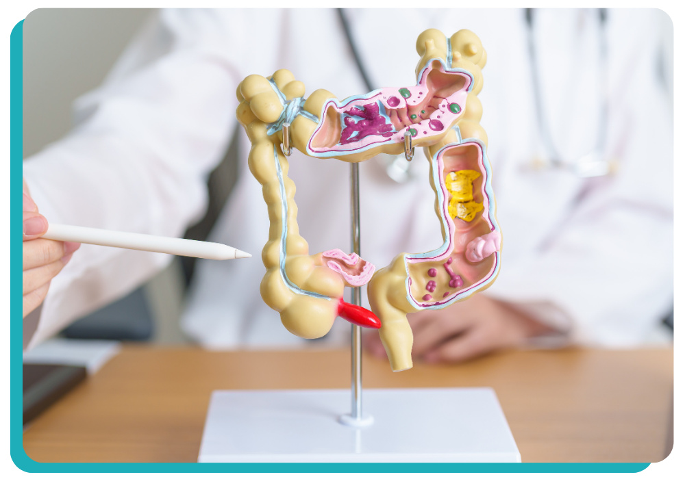 teste intestinal completo ciera